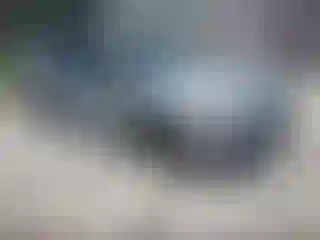Vehicle Image- 2021 Subaru WRX
