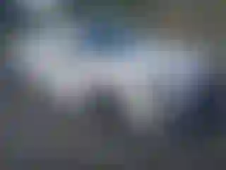 Vehicle Image- 2021 Subaru WRX