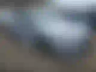Vehicle Image- 2020 Subaru WRX