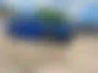Vehicle Image- 2023 Subaru WRX
