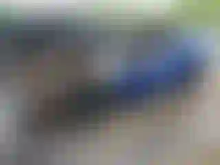 Vehicle Image- 2022 Subaru WRX