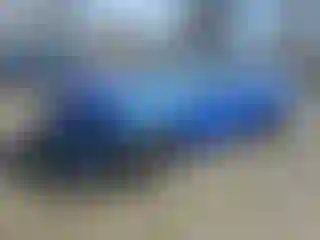 Vehicle Image- 2022 Subaru WRX