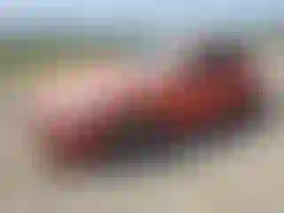 Vehicle Image- 2023 Toyota 86