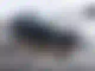 Vehicle Image- 2025 Toyota 86