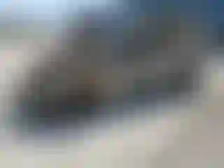 Vehicle Image- 2021 Subaru Crosstrek