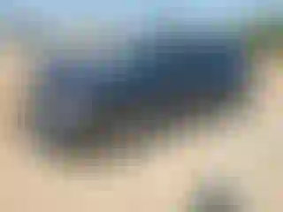 Vehicle Image- 2024 Subaru Crosstrek