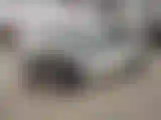 Vehicle Image- 2024 Subaru Crosstrek