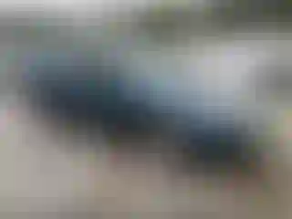 Vehicle Image- 2009 Subaru Forester