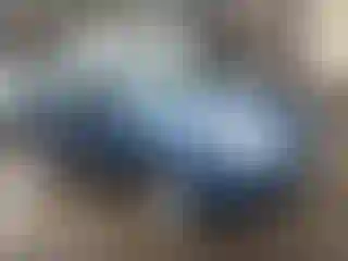 Vehicle Image- 2009 Subaru Forester