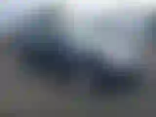 Vehicle Image- 2009 Subaru Forester