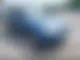 Vehicle Image- 2009 Subaru Forester