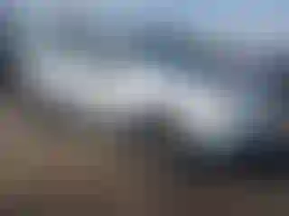 Vehicle Image- 2009 Subaru Forester