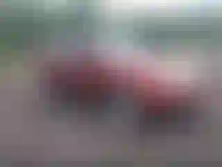 Vehicle Image- 2009 Subaru Forester