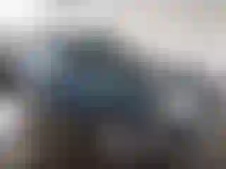 Vehicle Image- 2009 Subaru Forester