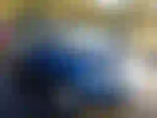 Vehicle Image- 2009 Subaru Forester