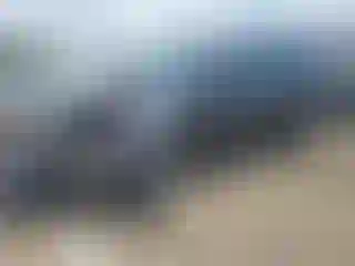 Vehicle Image- 2009 Subaru Forester