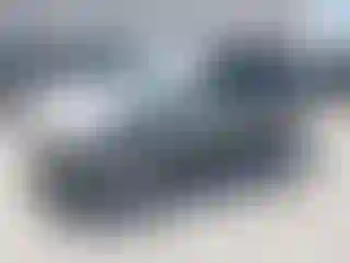 Vehicle Image- 2009 Subaru Forester