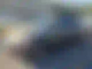 Vehicle Image- 2009 Subaru Forester