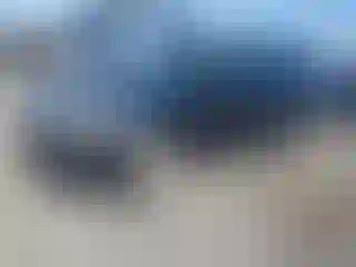Vehicle Image- 2009 Subaru Forester