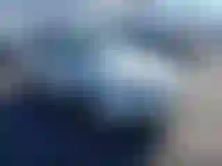Vehicle Image- 2009 Subaru Forester