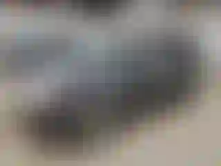 Vehicle Image- 2009 Subaru Forester