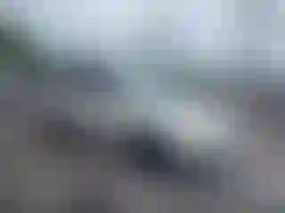 Vehicle Image- 2009 Subaru Forester