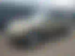 Vehicle Image- 2009 Subaru Forester