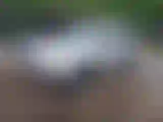 IMPORTOWO.pl