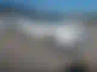 Vehicle Image- 2010 Subaru Forester