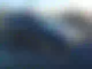 Vehicle Image- 2010 Subaru Forester