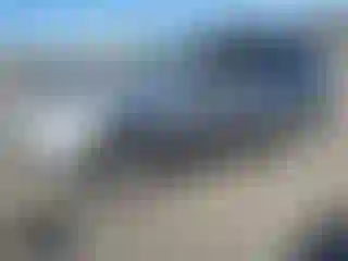 Vehicle Image- 2010 Subaru Forester