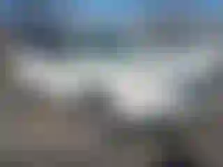 Vehicle Image- 2010 Subaru Forester