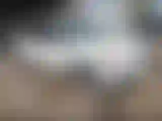 Vehicle Image- 2010 Subaru Forester