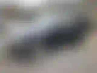 Vehicle Image- 2010 Subaru Forester