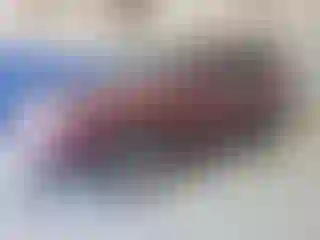 Vehicle Image- 2010 Subaru Forester