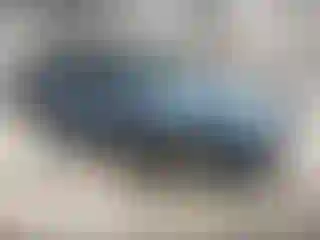 Vehicle Image- 2010 Subaru Forester