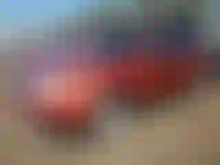 Vehicle Image- 2010 Subaru Forester