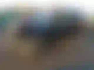 Vehicle Image- 2010 Subaru Forester