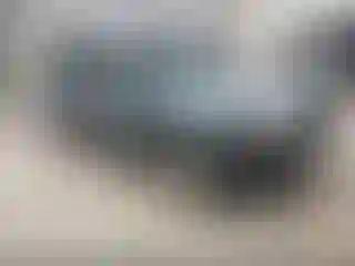 Vehicle Image- 2010 Subaru Forester