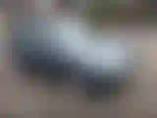 Vehicle Image- 2010 Subaru Forester