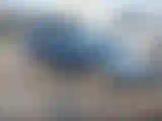 Vehicle Image- 2010 Subaru Forester