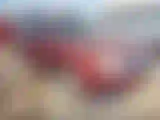 Vehicle Image- 2010 Subaru Forester