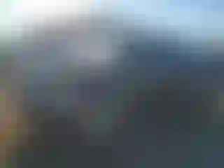 Vehicle Image- 2010 Subaru Forester