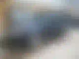 Vehicle Image- 2010 Subaru Forester