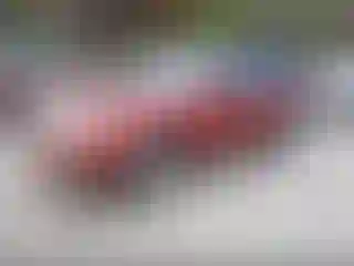 IMPORTOWO.pl