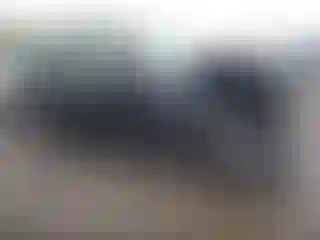 Vehicle Image- 2010 Subaru Forester