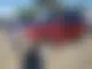 Vehicle Image- 2013 Subaru Forester