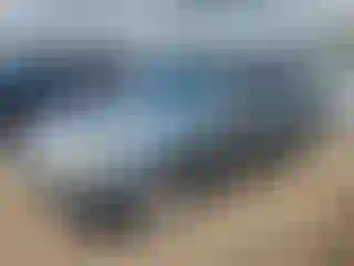 Vehicle Image- 2012 Subaru Forester