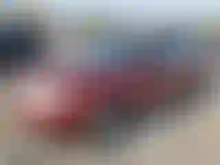 Vehicle Image- 2011 Subaru Forester