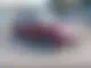 Vehicle Image- 2011 Subaru Forester